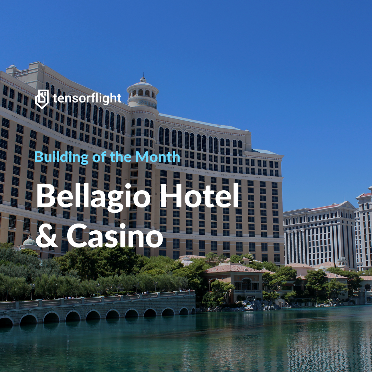 Bellagio Las Vegas Hotel - Luxurious Rooms & Suites - Las Vegas Luxury  Resort & Casino 